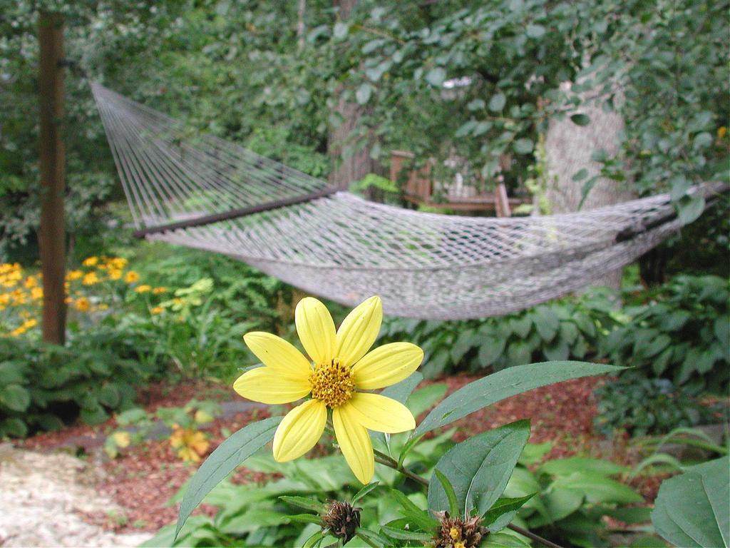 Brook Farm Inn Ленъкс Екстериор снимка