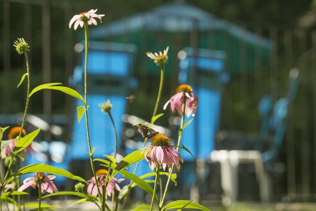 Brook Farm Inn Ленъкс Екстериор снимка